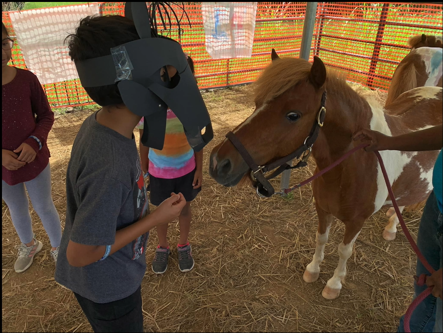 Equine Learning_2