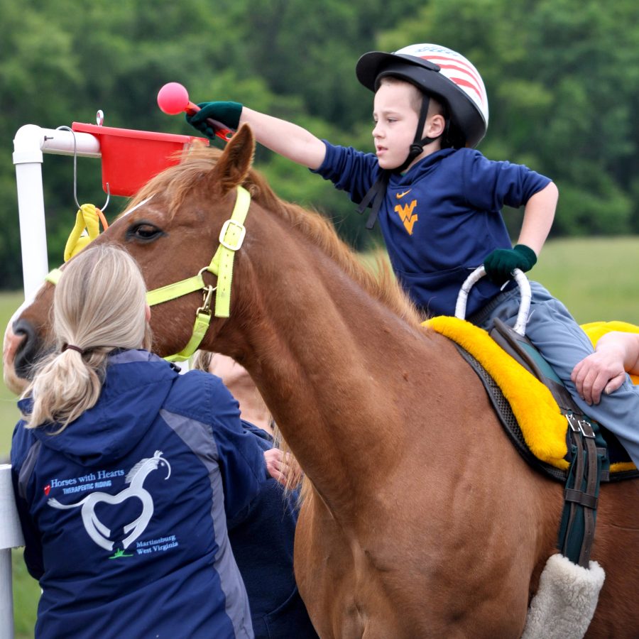 ParticipantOverview_EthanBSquare-12x12